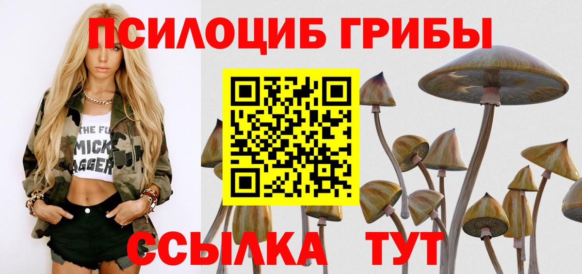 Псилоцибиновые грибы MAGIC MUSHROOMS  Вход с VPN  Шелехов 